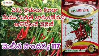 F1 Hybrid Chilli MELYNA SOUNDARYA 117, 9019917371, 9019917374 , (Farmer Care), Teja