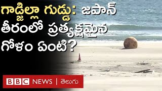 Mysterious Godzilla Egg: సముద్ర తీరంలో హఠాత్తుగా ప్రత్యక్షమైన ఆ వస్తువు జపనీయుల్ని కంగారుపెట్టింది