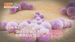 노력해도 살이 빠지지 않는 이유, 체내에 쌓인 독소♨ 다채로운 아침(themorning) 33회 | JTBC 210726 방송