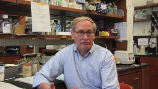 Explore Cancer Stem Cell Research with Dr. Ed Prochownik | UPMC Children’s Hospital of Pittsburgh