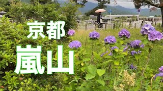 2021年6月16日（水）京都 閑散とした嵐山を歩く Walk in the quiet Arashiyama