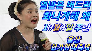 💖열받은 버드리 화나게해 왜 10월9일 주간 울산 한가위 대축제💖