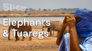 Living with elephants: A territory to share I SLICE
