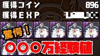 【パズドラ】ガネ×ガネで一度きりの超絶経験値ラッシュ！いったらとんでもない経験値もらえた！