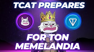 Why TCAT Will Win TON Memelandia!