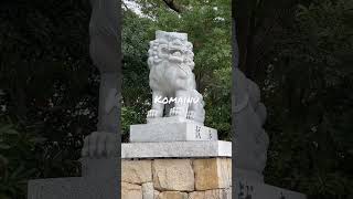 Here is komainu in Japan.#shorts #japan #japanese