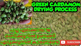 CARDAMOM DRYING PROCESS AND DRYER MACHINE