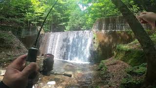 【袈裟丸山】塔ノ沢で入渓。ご当地オススメミノーで岩名を狙う