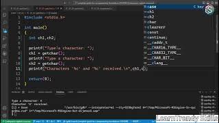 ✅ Using Single Character I/O in C | getchar(), putchar(), and More