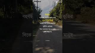 দীর্ঘদিন আকাশের দিকে তাকালে নক্ষত্র চিনা যায় #statusvideo #statusking #foryou #viralshort