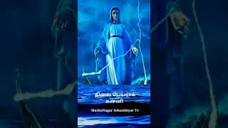 அலைகடல் ஒளி மீனே செல்வ ஆண்டவன் தாயாரே💥மாதா பாரம்பரிய தமிழ் பாடல் 💥 whatsapp status tamil #shorts