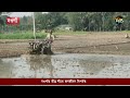 নওগাঁয় তীব্র শীতে জনজীবন বিপর্যস্ত naogaon deepto news