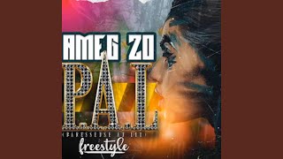 P.A.L (Paresseuse Au Lit) Freestyle - Ameg Zo