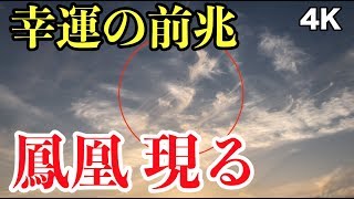 縁起の良い雲 瑞鳥現る 見ると金運が上昇し幸運をもたらす伝説の鳥 鳳凰 4K 夕日ヶ浦海岸 パワースポットひとり旅#7