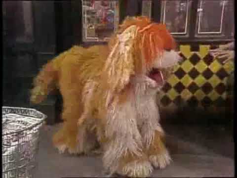 Classic Sesame Street: Counting Legs / PET / Maria's Shoe Salad (1980 ...