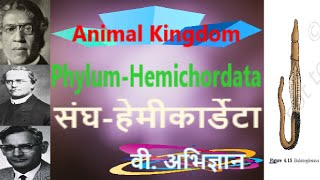 Phylum Hemichordata | Animal Kingdom | Classification |Chapter 4 Class 11th Biology|संघ-हेमीकार्डेटा