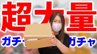 【ガチャガチャ】超大量ミニチュア福袋のプレゼント開封！