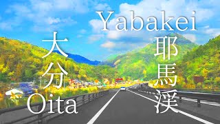 4k Aesthetic Car Driving Video /Japan Countryside Scenic Relaxing Drive With Music In Oita