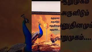 #வெற்றிவேல்# முருகனுக்கு #அரோகரா#என் உள்ளத்தில் இருக்கும் முருகையா 🙏🙏🙏🙏🙏🙏🙏🙏🙏🙏🙏🙏🙏🙏