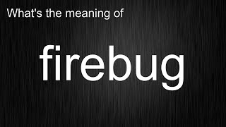 What's the meaning of "firebug", How to pronounce firebug?