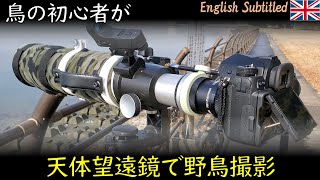 天体望遠鏡で野鳥撮影！ビクセンED80Sfを超望遠レンズに初心者が奮闘？ Eng. Bird shooting with Vixen ED80sf