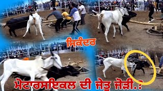 OX RACE  ||🥉ਮੋਟਾਰਸਾਈਕਲ ਦੀ ਜੇਤੂ ਜੋੜੀ || ਪਿੰਡ ਕਾਲਾ ਸੰਘਿਆ || ਹਲਟ ਦੌੜ #Arjangroup22