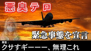 【航空無線】悪臭が原因で緊急事態宣言www【緊急事態/日本語/ATC】