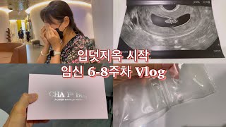 [시험관 브이로그] 임신 6-8주차 Vlog | 입덧지옥 시작 | 8주차에 난임병원 졸업하고 펑펑 울었어요