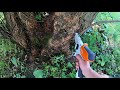 my full review of the stihl gta 26 garden pruner