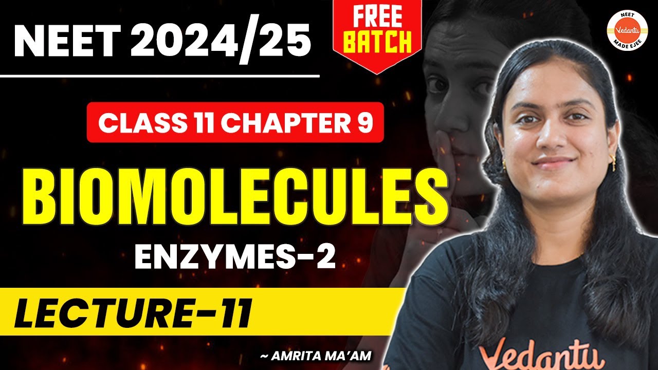 ENZYMES [PART 2] - BIOMOLECULES Class 11 Biology (Lecture 11) | NEET ...