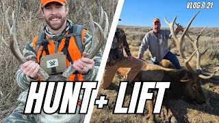 Wyoming Bull Elk Hunt: Blood, Sweat, and Fitness || VLOG 21