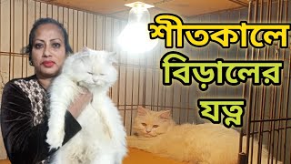 শীতে বিড়ালের যত্ন কীভাবে নিতে হয় |Cat's takecare in winter season|Persian cat price 2025|Persian cat