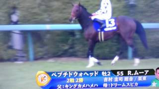 【馬基地TV】第66回 朝日杯フューチュリティS (GⅠ)【本馬場入場】