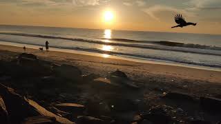 Most Relaxing sounds of Ocean waves, Pondicherry - Rock Beach , White Town