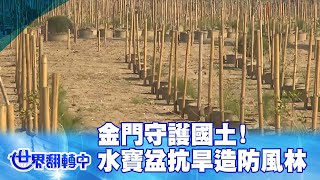 埋下永續種子!金門守護國土「水寶盆」抗旱打造防風林 世界翻轉中 20220320