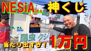 【昆虫くじ】神引き過ぎて絶叫！くじ1万円分やってみた結果がヤバかった Beetle or stag beetle videos