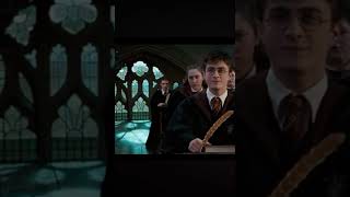 Y/n is Harry’s sister #pov #harrypotteredit