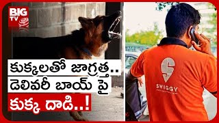 Dog Attack On Delivery Boy : కుక్కలతో జాగ్రత్త..డెలివరీ బాయ్ పై కుక్క దాడి.. | BIG TV Telugu News