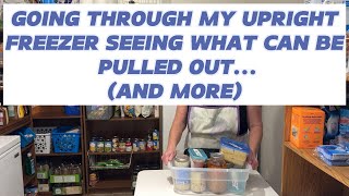 GOING THROUGH THE UPRIGHT FREEZER SEEING WHAT CAN BE USED... (AND MORE) DITL