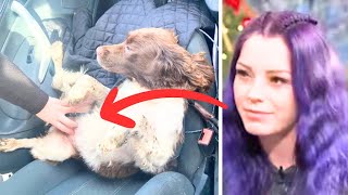 Heartbroken Mom Buries Dog, Finds Out Days Later She’s Alive!