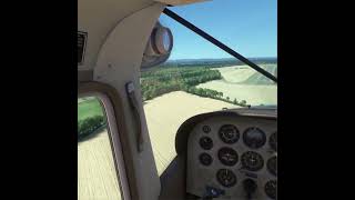 Landing Tatenhill new Cessna 185 #aviation #microsoftflightsimulator #msfs2024 #landing #shorts