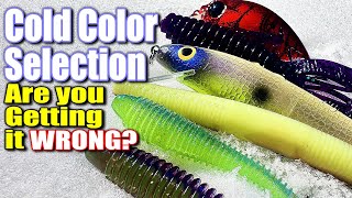 Why Your Bass Lure Color Selection is WRONG In Cold Water!