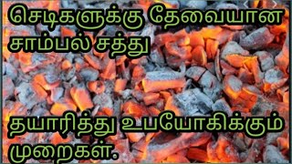 செடிகளுக்கு தேவையான சாம்பல் சத்து. தயாரித்து உபயோகிப்பது எப்படி? விரிவாக பார்க்கலாம்.