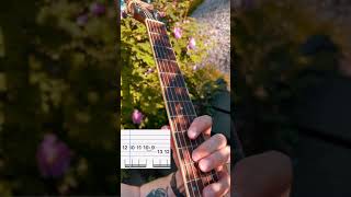 How to Play Jazz Guitar (for flowers & bees)!