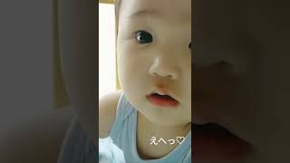 【戯れ】腹ペコちゃん#shorts #baby