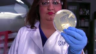 Minimum Inhibitory Concentration (MIC) Testing Overview