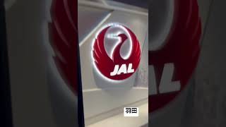 【JALファーストクラス117】第1ターミナル取材拒否 全店制覇 羽田で深夜大量にラウンジで特製カレーパン食べてみた 211129