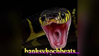banksykochbeats - Snake / type beat SZA, Anderson .Paak, Beyonce