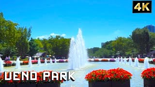 【4K HDR】Ueno Park Walk