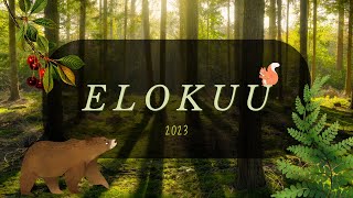 🍊🌺 Elokuu 2023 | Valitse pakka | Ajaton tulkinta 🍊🌺